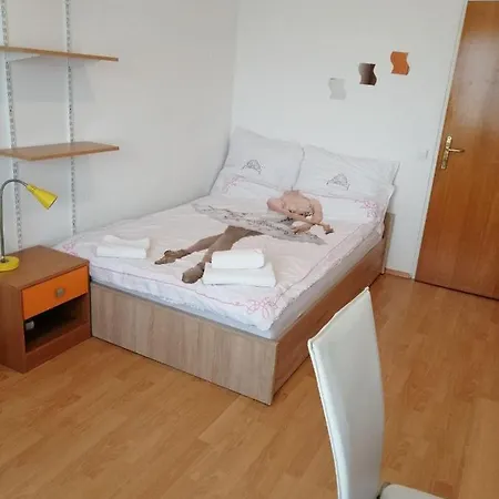 Homestay Arena Stozice *
